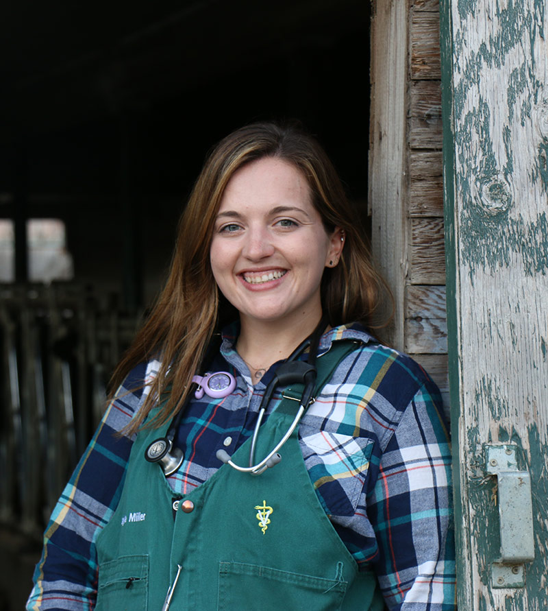 About US Abbotsford Veterinary Clinic